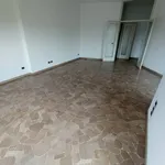 Rent 4 bedroom apartment of 175 m² in Monza