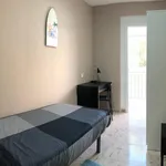 Rent 4 bedroom apartment in Barcelona