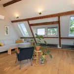 Rent 2 bedroom apartment of 125 m² in Amsterdam