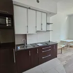 Rent 1 bedroom apartment of 25 m² in Krakow