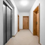 Rent 1 bedroom apartment of 25 m² in Prague