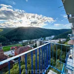 Rent 3 bedroom apartment of 65 m² in Adamov