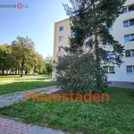 Rent 3 bedroom apartment of 55 m² in Havířov