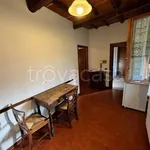 Rent 2 bedroom apartment of 35 m² in Terranuova Bracciolini