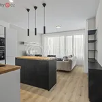 Rent 2 bedroom apartment of 50 m² in Trhový Štěpánov