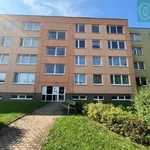 Rent 4 bedroom apartment of 85 m² in Pardubice