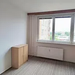 Rent 1 bedroom apartment of 32 m² in Ostrava