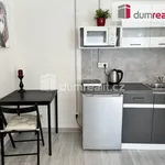 Rent 1 bedroom apartment of 18 m² in Kačice