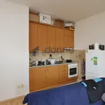 Rent 1 bedroom apartment in Capital City of Prague