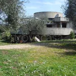 Rent 8 bedroom house of 250 m² in Orbetello