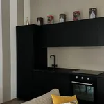 Rent 1 bedroom house of 50 m² in Turin