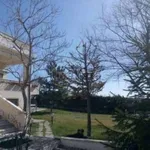 Rent 10 bedroom house of 600 m² in Aielli