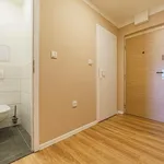 Pronajměte si 1 ložnic/e byt o rozloze 26 m² v Ostrava