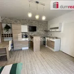 Rent 1 bedroom apartment of 27 m² in Velké Bílovice