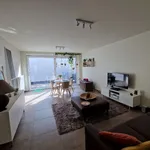 Huur 1 slaapkamer appartement in Dendermonde