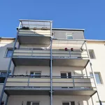 Rent 3 bedroom apartment of 80 m² in Chemnitz