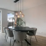 Rent 3 bedroom apartment of 97 m² in Leiden