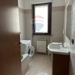 Rent 1 bedroom apartment of 45 m² in Legnano