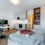 Rent 1 bedroom apartment of 40 m² in Pilsen