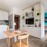 Rent 1 bedroom apartment of 38 m² in Padova