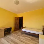 Rent 4 bedroom apartment of 125 m² in Catanzaro