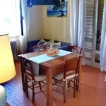 Rent 5 bedroom apartment of 90 m² in Rosignano Marittimo