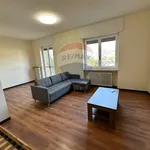 Rent 3 bedroom apartment of 70 m² in Biella