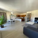 Rent 2 bedroom apartment of 52 m² in Oullins