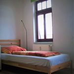 Miete 1 Schlafzimmer wohnung von 40 m² in Zwickau