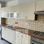 Rent 1 bedroom apartment of 49 m² in Capital City of Prague