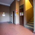 Rent 2 bedroom apartment in Milan