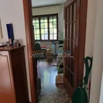 Rent 5 bedroom apartment of 100 m² in Massa