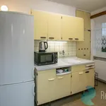 Rent 1 bedroom apartment in Benešov