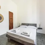 Rent 1 bedroom apartment in Florence