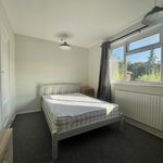 Rent 4 bedroom house in Norwich