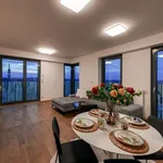 Rent 1 bedroom apartment of 80 m² in Prague