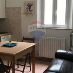 Rent 3 bedroom apartment of 65 m² in Ferrara