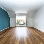 Pronajměte si 4 ložnic/e byt o rozloze 102 m² v Holubice