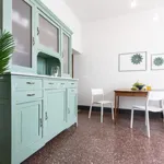 Rent 1 bedroom apartment in Bologna