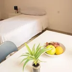 Rent a room in valencia