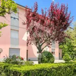 Rent 2 bedroom apartment of 91 m² in serra san quirico