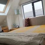 Rent a room of 130 m² in dublin