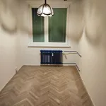 Rent 1 bedroom apartment of 46 m² in Brno