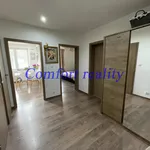 Rent 3 bedroom apartment of 63 m² in Ostrava