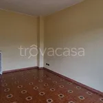 Rent 3 bedroom apartment of 70 m² in Torino