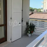 Rent 3 bedroom apartment of 80 m² in Ravenna