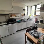 Rent 1 bedroom apartment of 6 m² in 's-Hertogenbosch