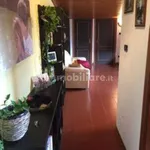 Rent 2 bedroom apartment of 80 m² in Pescara