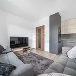 Rent 3 bedroom apartment of 65 m² in Kaznějov