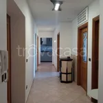 Rent 7 bedroom house of 130 m² in Vetralla